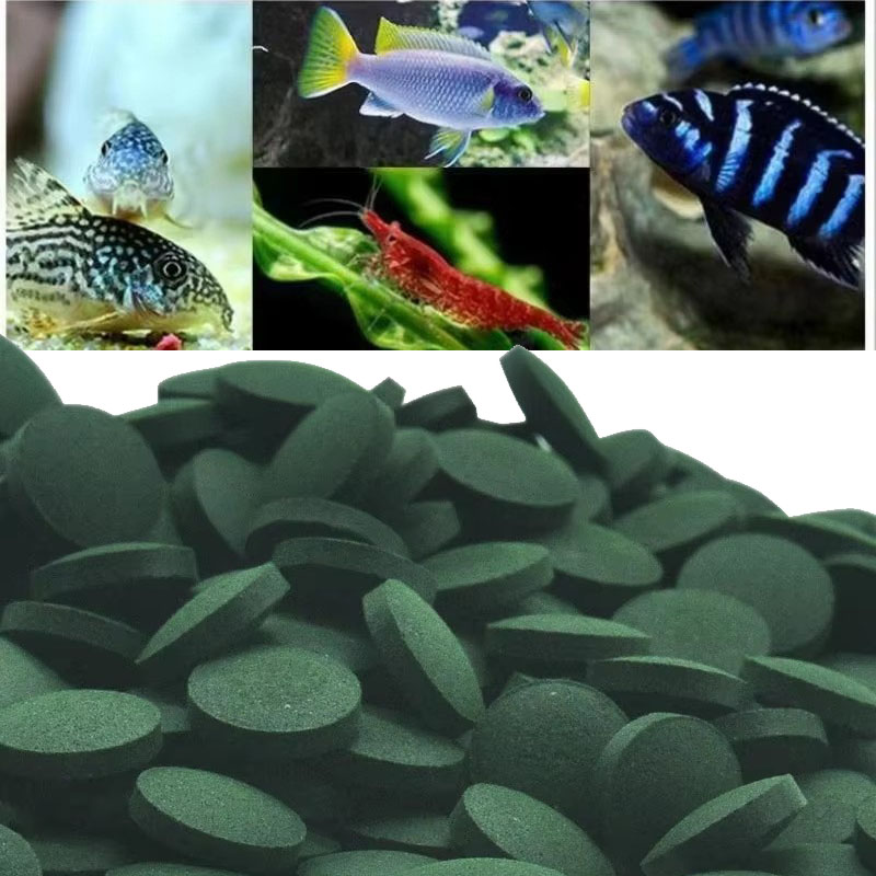 Marine Aquarium Bacteria - เม็ดสาหร่ายสไปรูลิน่า 50/100/300/500 ชิ้น สาหร่ายสไปรัลเข้มข้น อาหารสัตว์เลี้ยงที่นิยม อาหารปลา