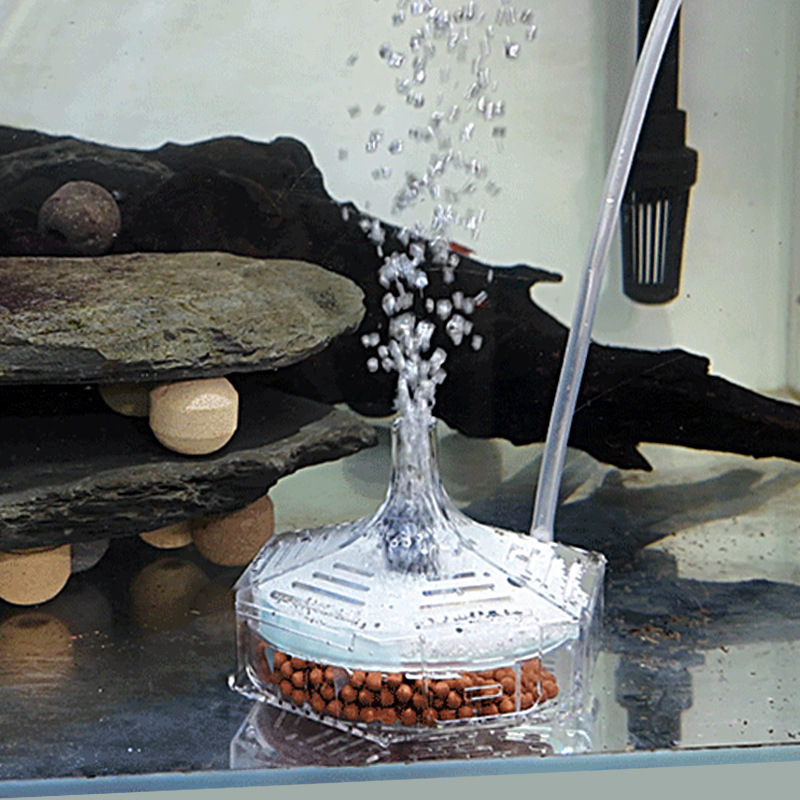 ฟองน้ำกรองชีวภาพใสสำหรับตู้ปลา - Marine Aquarium Bacteria บทวิจารณ์และราคา