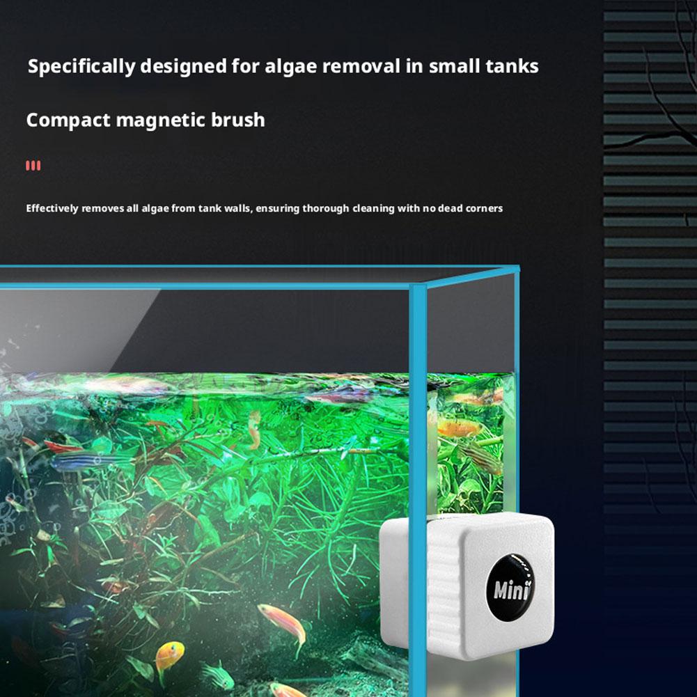 ที่ขูดตะไคร่น้ำแม่เหล็กแบบกระจ - Marine Aquarium Glass Scraper บทวิจารณ์และราคา