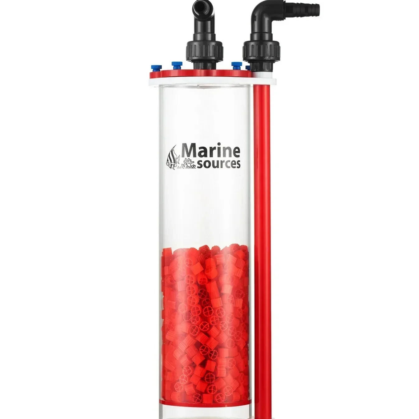 แหล่งที่มาทางทะเล Aquarium Fis - Marine Aquarium Bacteria บทวิจารณ์และราคา
